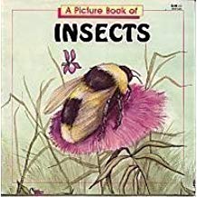 A Picture Book of Insects